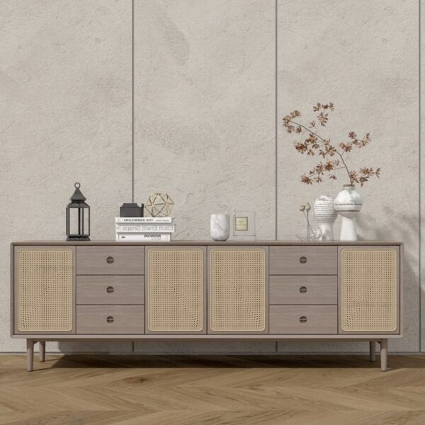 Premium TV Unit