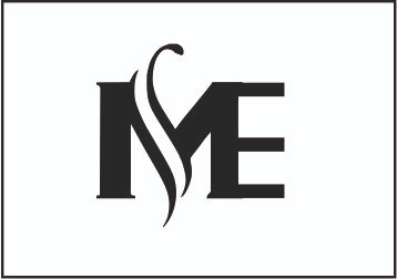 MS Enterprise logo