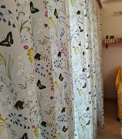 butterfly meadow